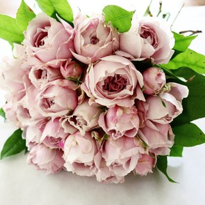 ロズリーヌ・バラ専門ショップ・東京・バラ花束の画像